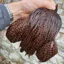 Whiting Exclusive Grizzly Hen Cape in Coachman Brown
